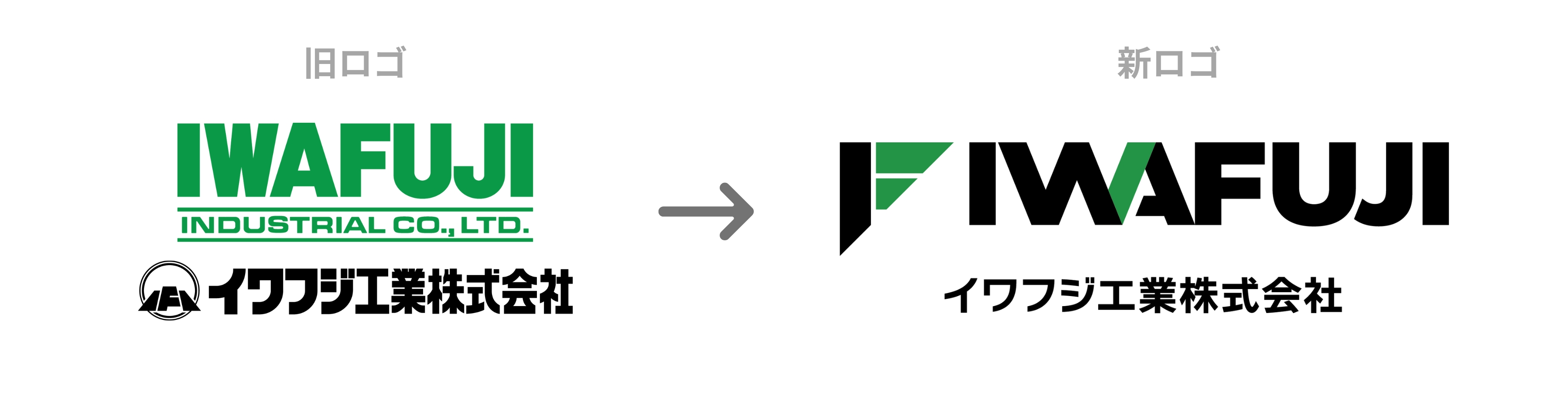 https://www.iwafuji.co.jp/dcms_media/image/logo_img11.jpg
